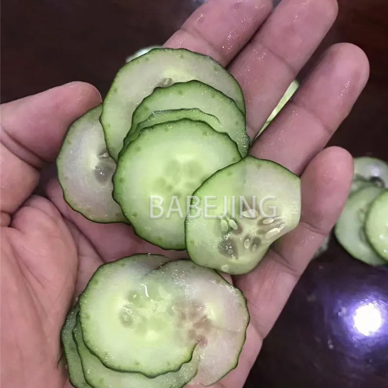 Electric Mini Scallion Chopper - Commercial Kitchen Appliances incelemesi ve fiyatı